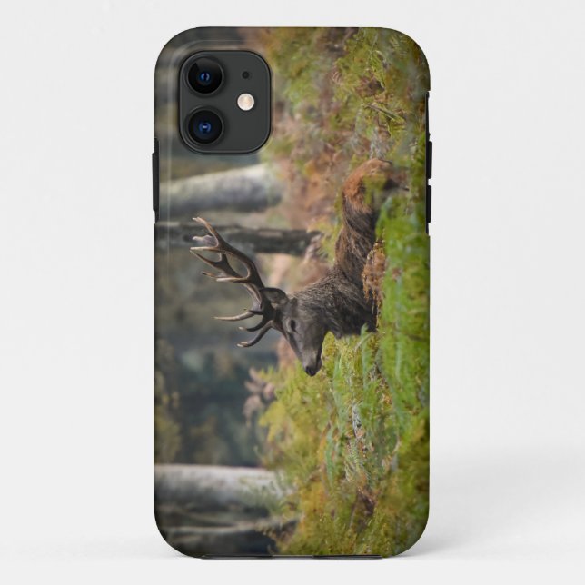 Cerf in the forest of fountainebleau Case-Mate iPhone case (Back)