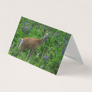 Cerf parmi les lupines