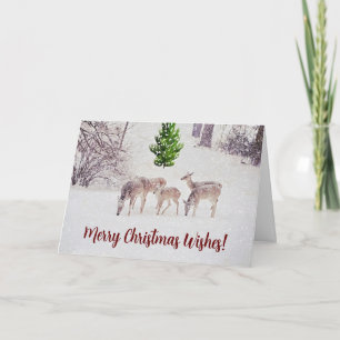 Cerf sauvage en neige Carte de Noël hiver