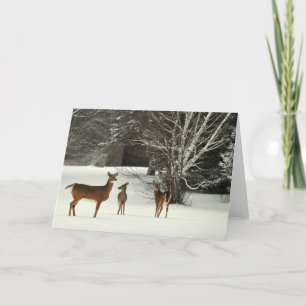 Cerfs communs dans la carte de voeux de neige