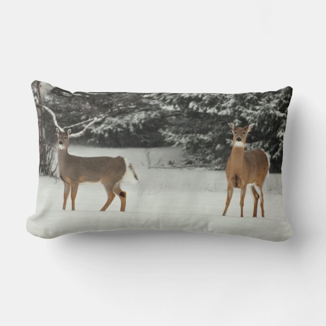 Cerfs communs dans le coussin de neige (Recto)