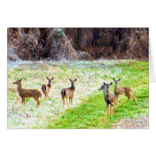 Cerfs communs dans le Frost