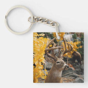 Cerfs communs de trophée