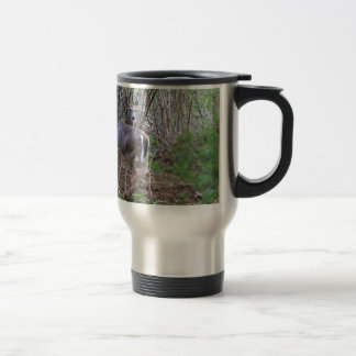 Cerfs communs regardant au-dessus de la tasse