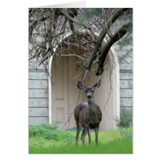 Cerfs communs se tenant devant le manoir de Wehner