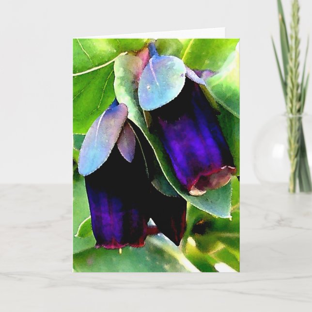 CERINTHE CARTE POUR NOTES/BLANK (Devant)