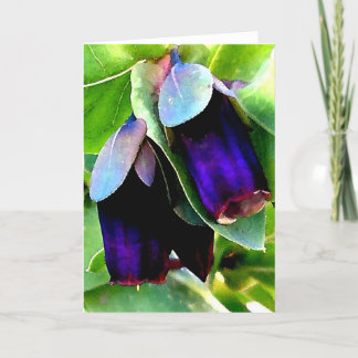 CERINTHE CARTE POUR NOTES/BLANK