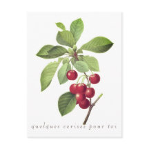 Cerises pour vous Carte postale