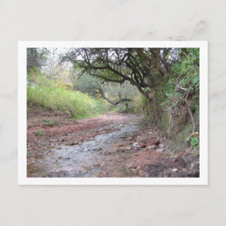 cerro colorado postcard