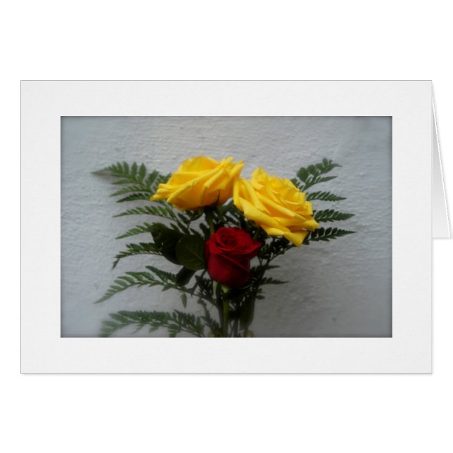 (Certains Roses sont rouges) (Devant horizontal)