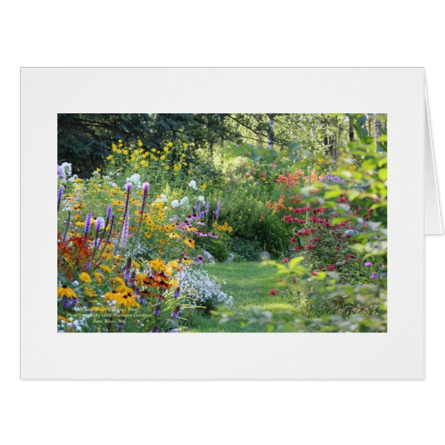 Certificat cadeau Valentines (Devant horizontal)