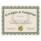 Certificate of Completion, Customizable 8.5x11