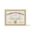 Certificate of Completion Gold Customizable 8.5x11