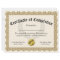Certificate of Completion Gold Customizable 8.5x11