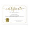 Certificate of Excellence Appreciation Recognition