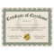 Certificate of Excellence, Customizable 8.5x11