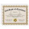 Certificate of Excellence Gold Customizable 8.5x11