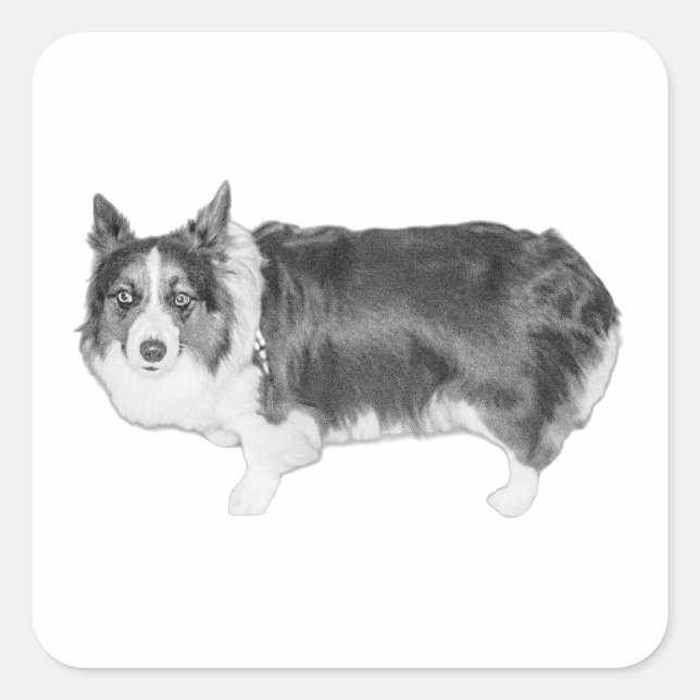 Certified Snack Scout Square Sticker (Front)