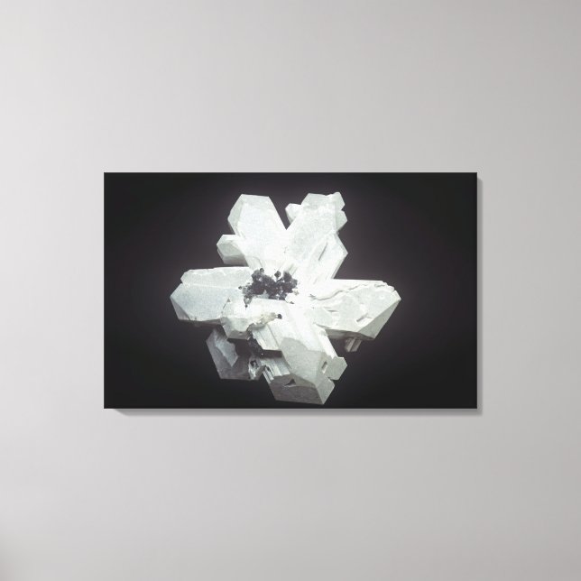 Cerussite crystals (PbC03, Lead Carbonate), Namibi Canvas Print (Front)