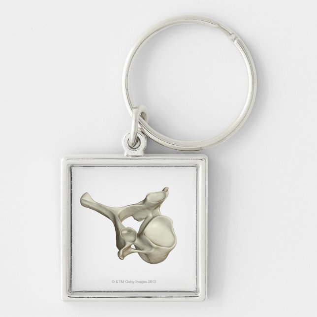Cervical Vertebra Keychain (Front)