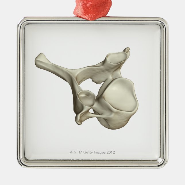 Cervical Vertebra Metal Ornament (Front)