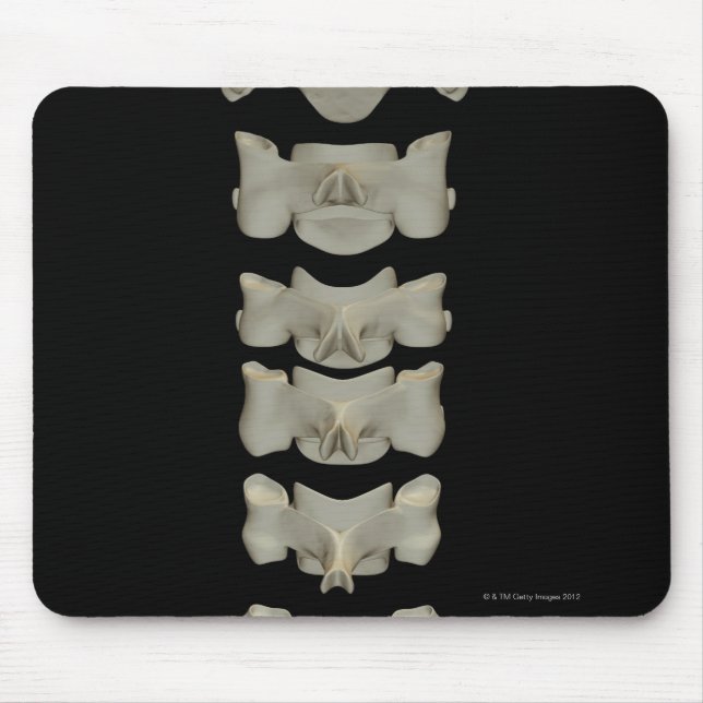 Cervical Vertebrae Mouse Pad (Front)