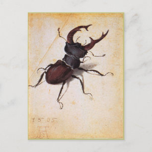 Cervus Lucanus by Albrecht Durer Postcard