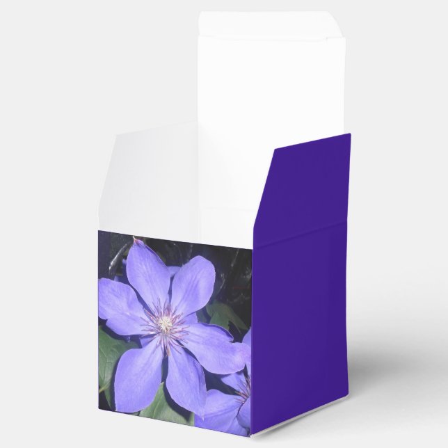 Césarine Favor Box (Opened)