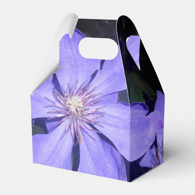 Césarine Favor Box (Front Side)