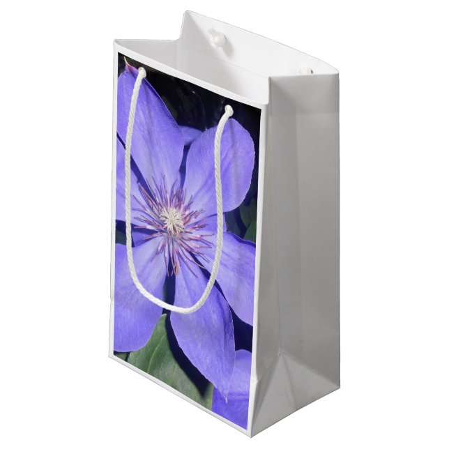 Césarine Small Gift Bag (Front Angled)