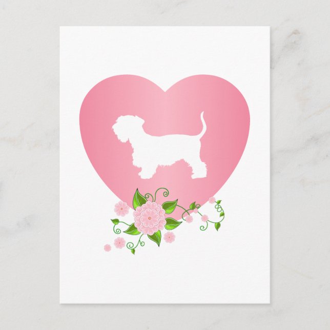 Cesky Terrier Postcard (Front)