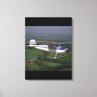 Cessna 170, 1948,_Classic Aviation