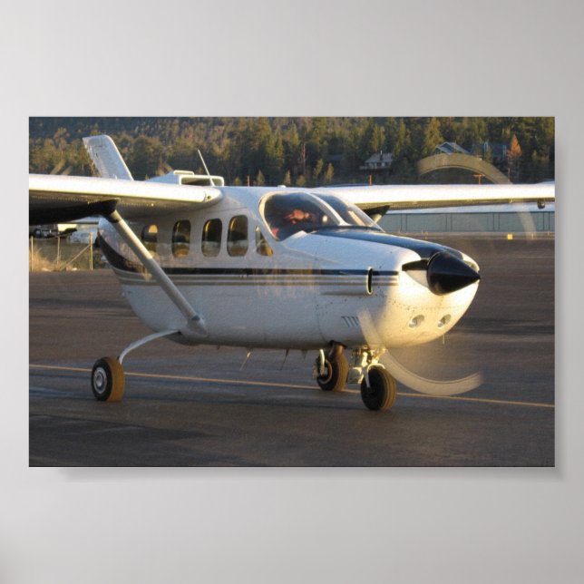 Cessna Skymaster  Poster (Front)