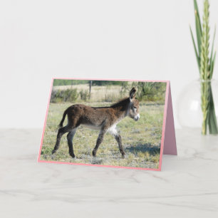 C'est Fille ! Carte de voeux Baby Burro