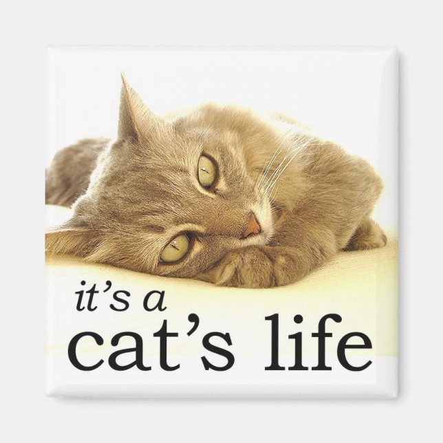 C'est la vie d'un chat - Magnet (Devant)