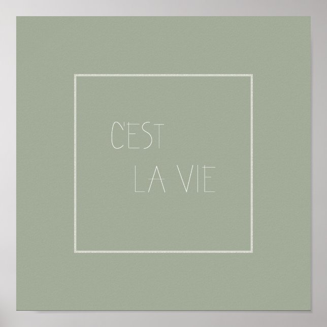 C'est La Vie - That's Life - French Poster (Front)