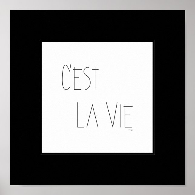 C'est La Vie - That's Life - French Poster (Front)