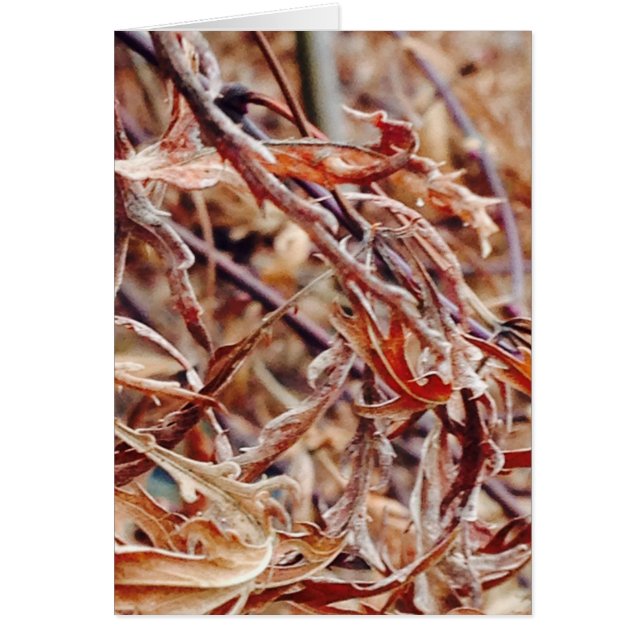 C'est l'automne, je pense à toi... (Devant)