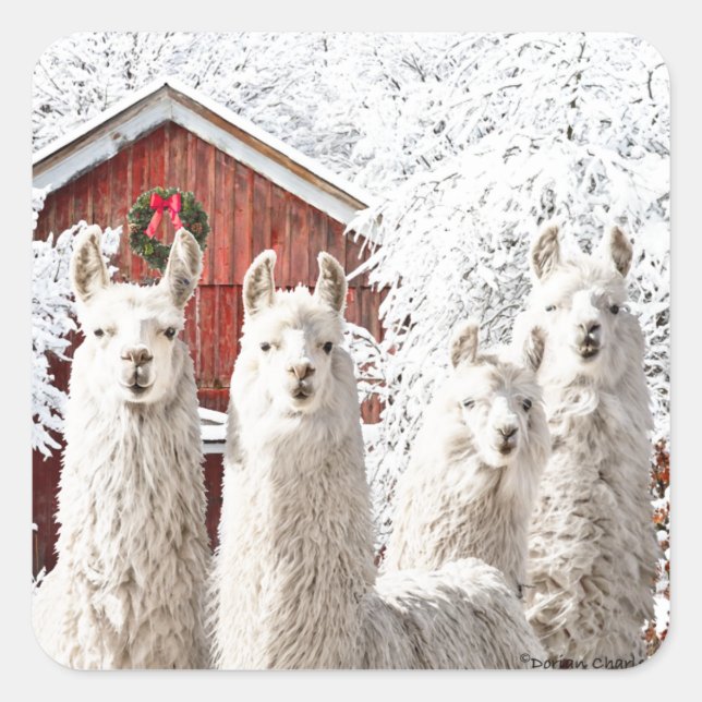 "C'est Noël !" Autocollants (Devant)