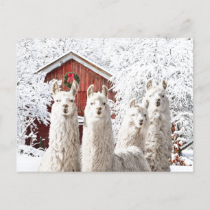 "C'est Noël !" Carte postale