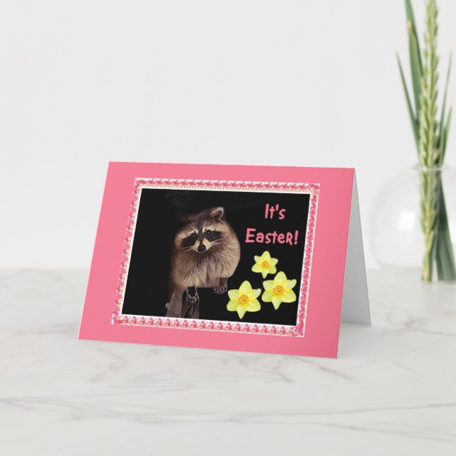 C'est Pâques !  Carte de raton laveur pour tout le (Devant)