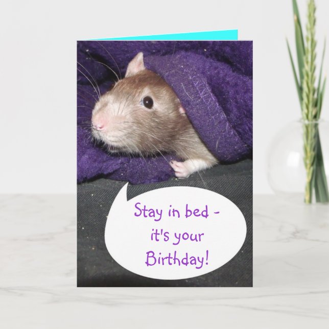 C'est ta carte de rat d'anniversaire (Devant)