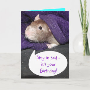 C'est ta carte de rat d'anniversaire