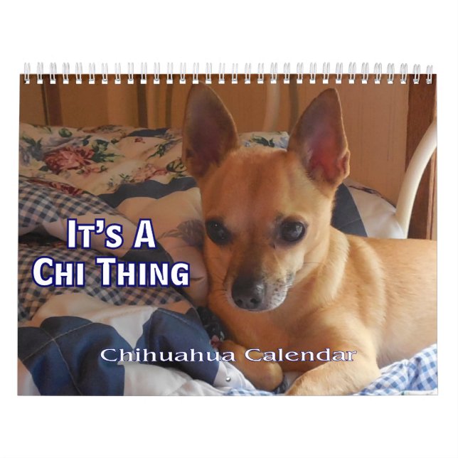 C'est un calendrier de chiwawa de chose de Chi (Protection)