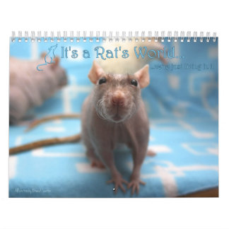 C'est un calendrier du monde des rats 2016