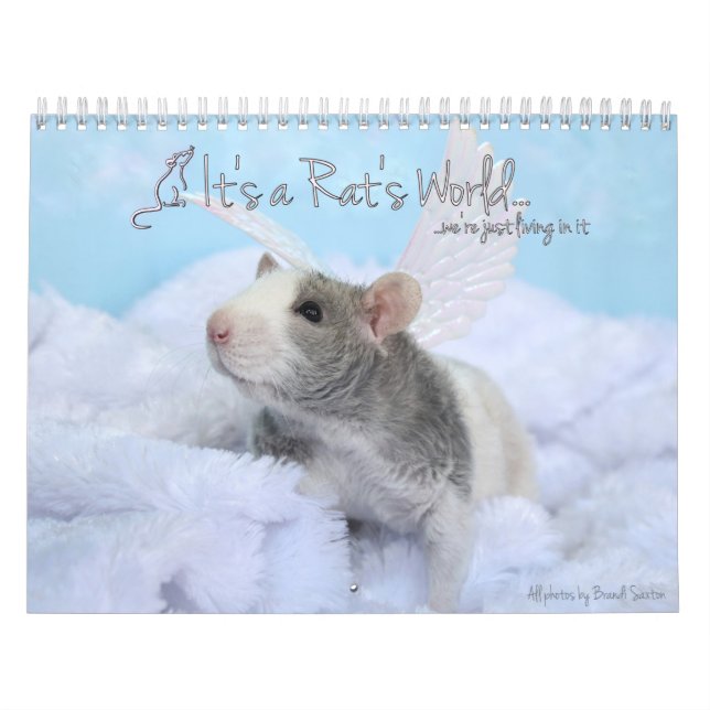 C'est un calendrier mondial de Rat (Protection)