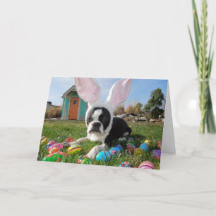 C'est un CERTAIN lapin !  Carte de Lola B. Boston