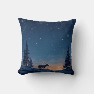 C'est un coussin coussin étoilé.
