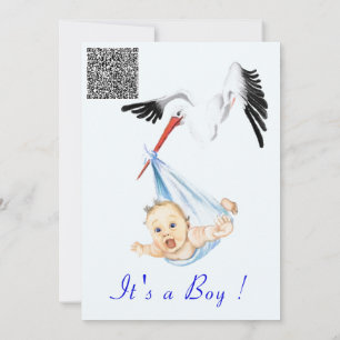 C'est un garçon Stork Baby Boy Shower Invitation Q