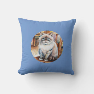 C'est un mignon oreiller à lancer.